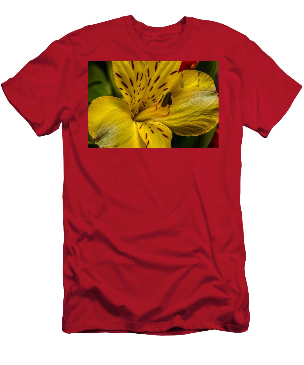 Alstroemeria T-Shirt featuring the photograph Alstroemeria Bloom by Ron Pate
