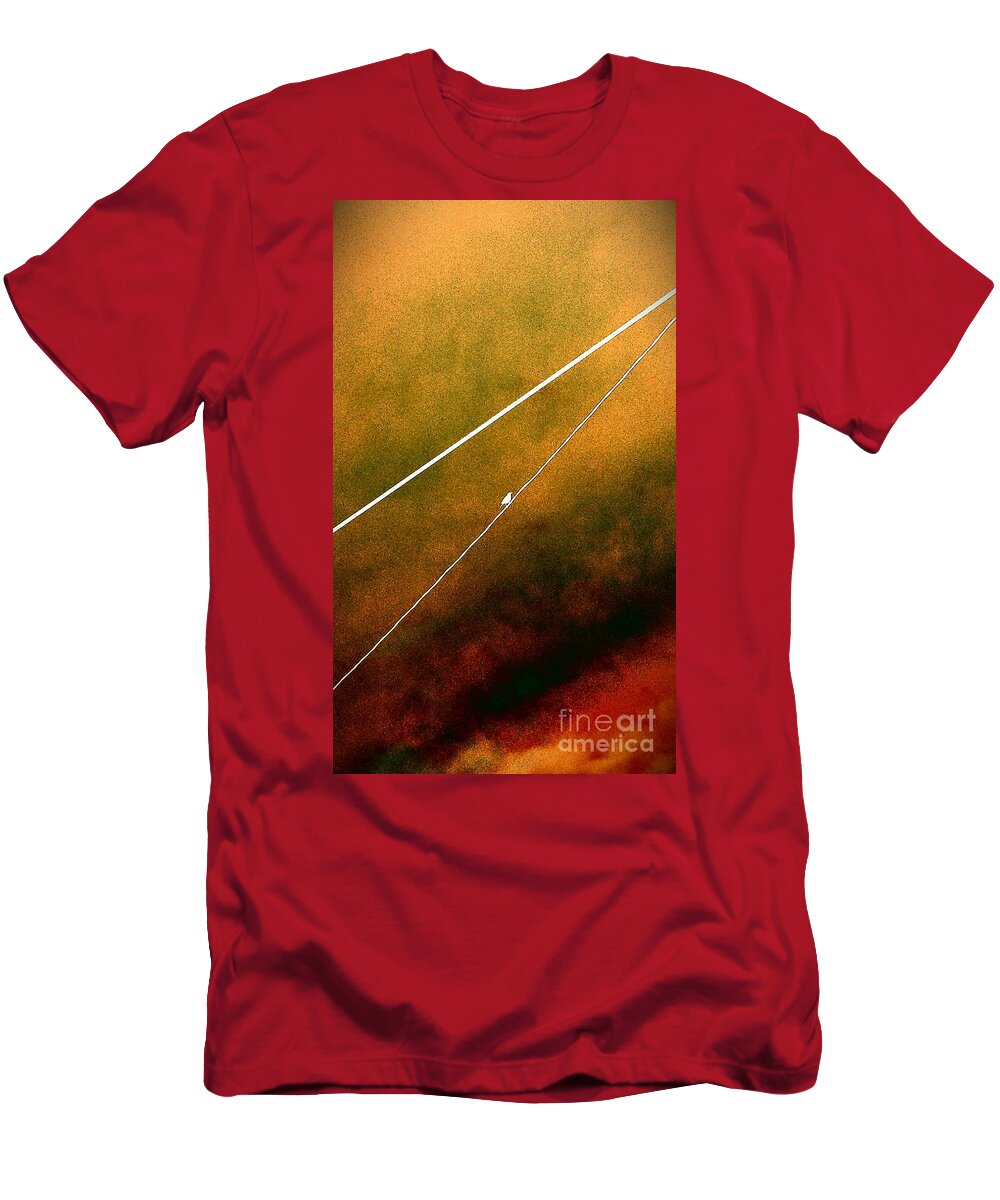 Bird T-Shirt featuring the photograph Always Waiting For Me by Jacqueline McReynolds