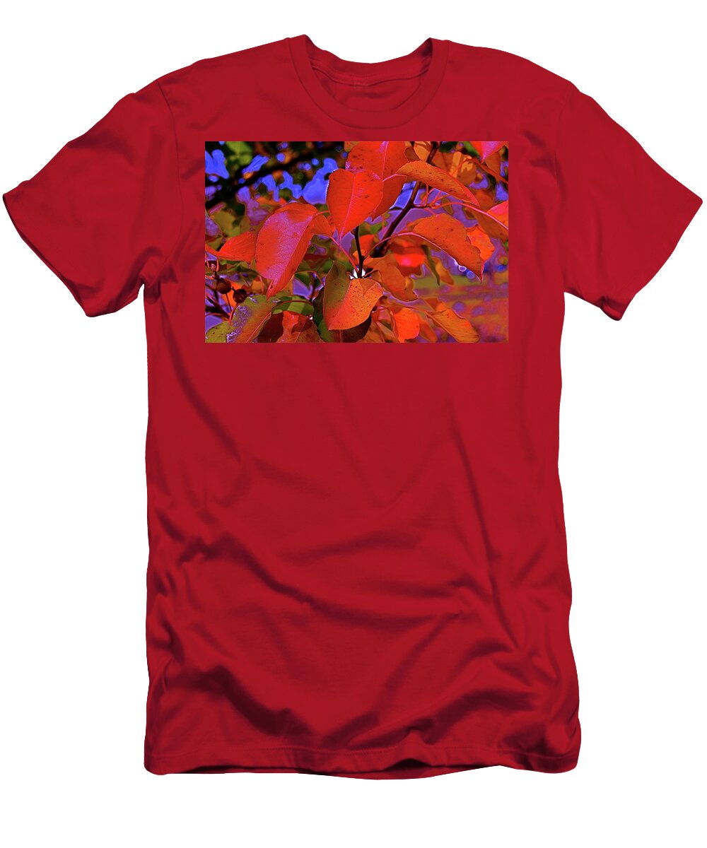 Autumn T-Shirt featuring the photograph Autumn Magic 1 by First Star Art
