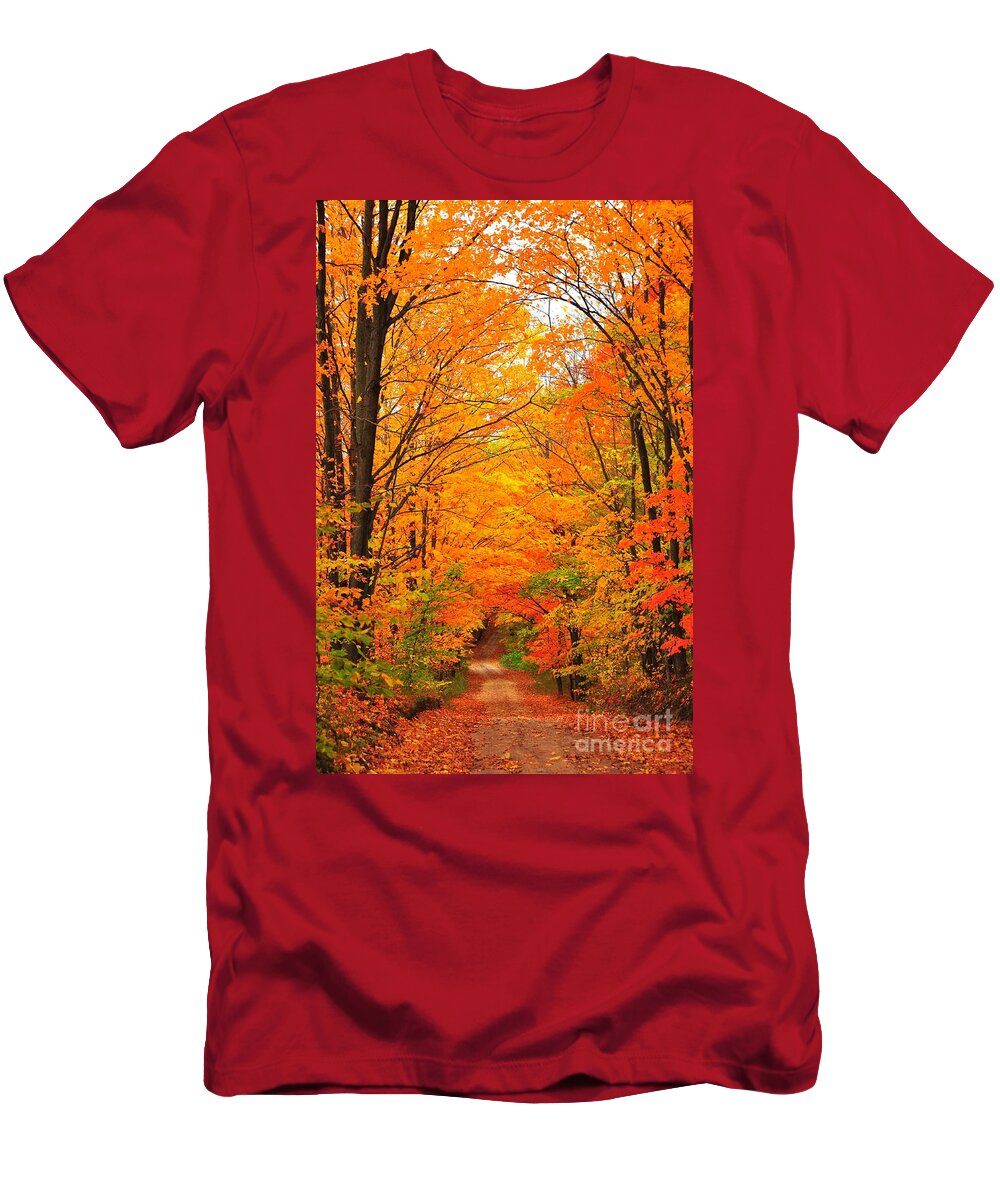 Autumn T-Shirt featuring the photograph Autumn Tunnel of Trees by Terri Gostola
