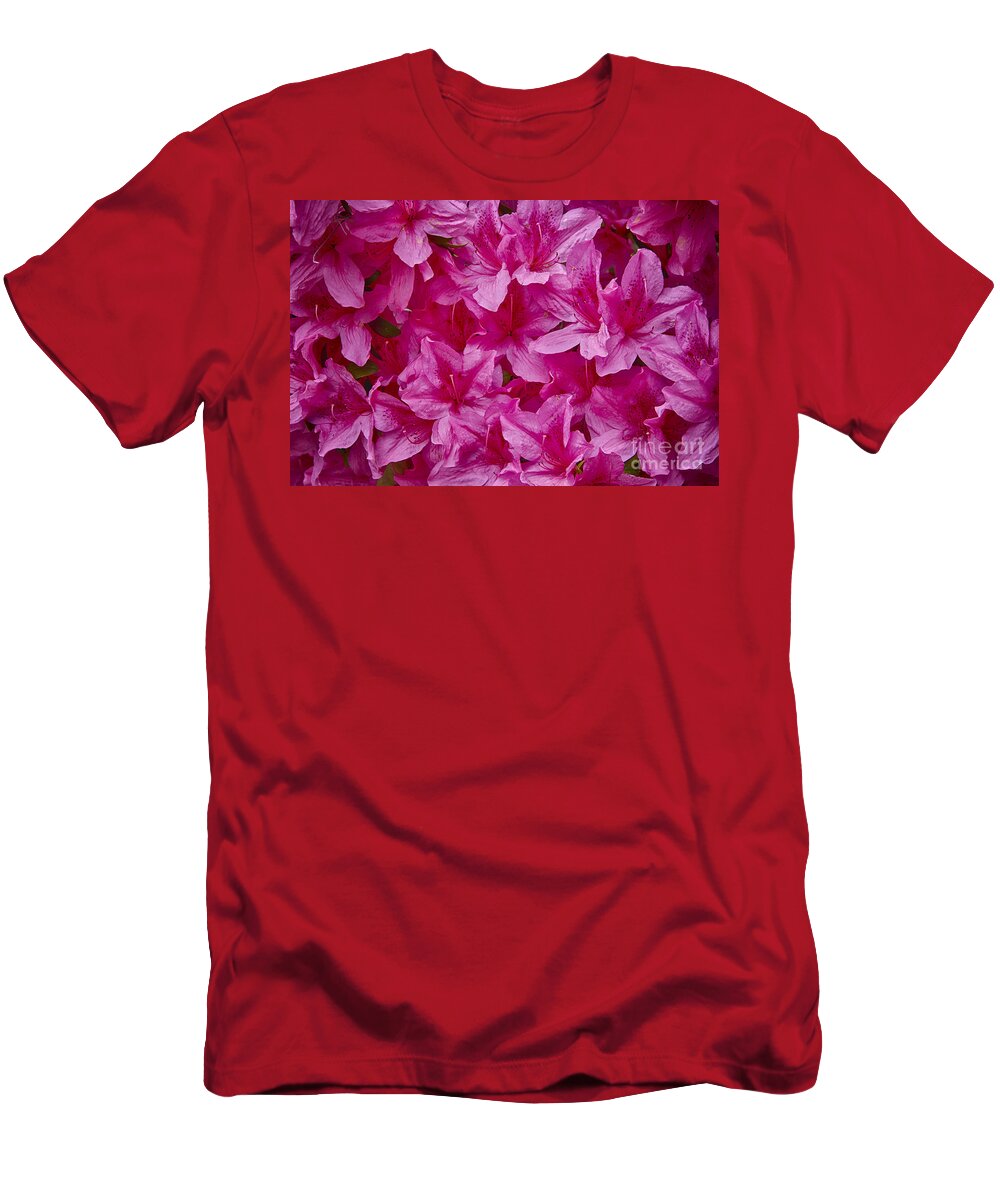 Azalea T-Shirt featuring the photograph Azalea Blooms by Carrie Cranwill