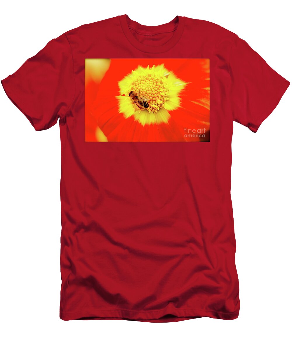 Bee T-Shirt featuring the photograph Beeutiful by Lisa Billingsley