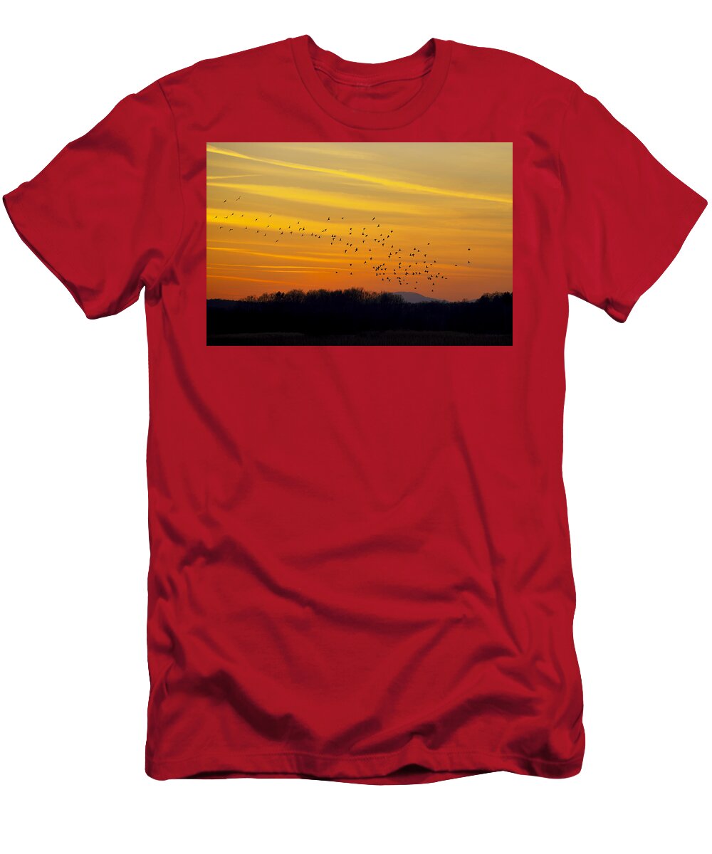 Sunset T-Shirt featuring the photograph Birds in the sunset by Ivan Slosar