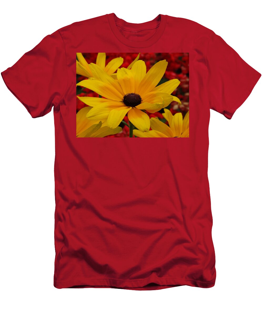 Black Eyed Susan T-Shirt featuring the photograph Black Eyed Susan in Red Bed by David T Wilkinson