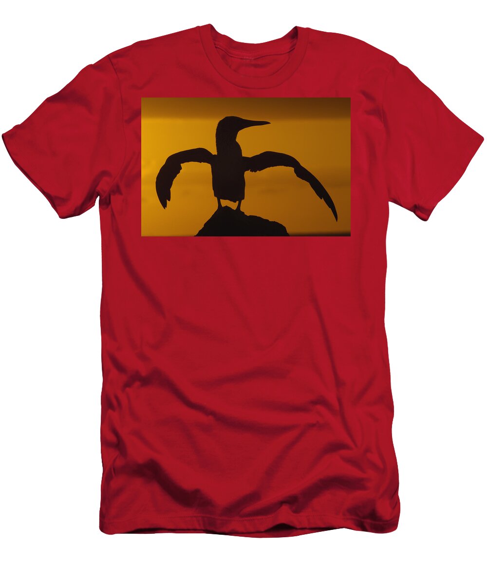 Feb0514 T-Shirt featuring the photograph Blue-footed Booby Stretching Galapagos by Pete Oxford