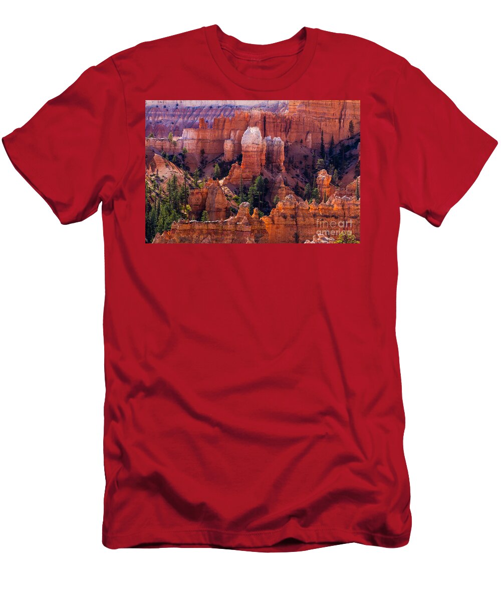 Bryce Amphitheater T-Shirt featuring the photograph Bryce Canyon Amphitheater 2 by Dan Hartford