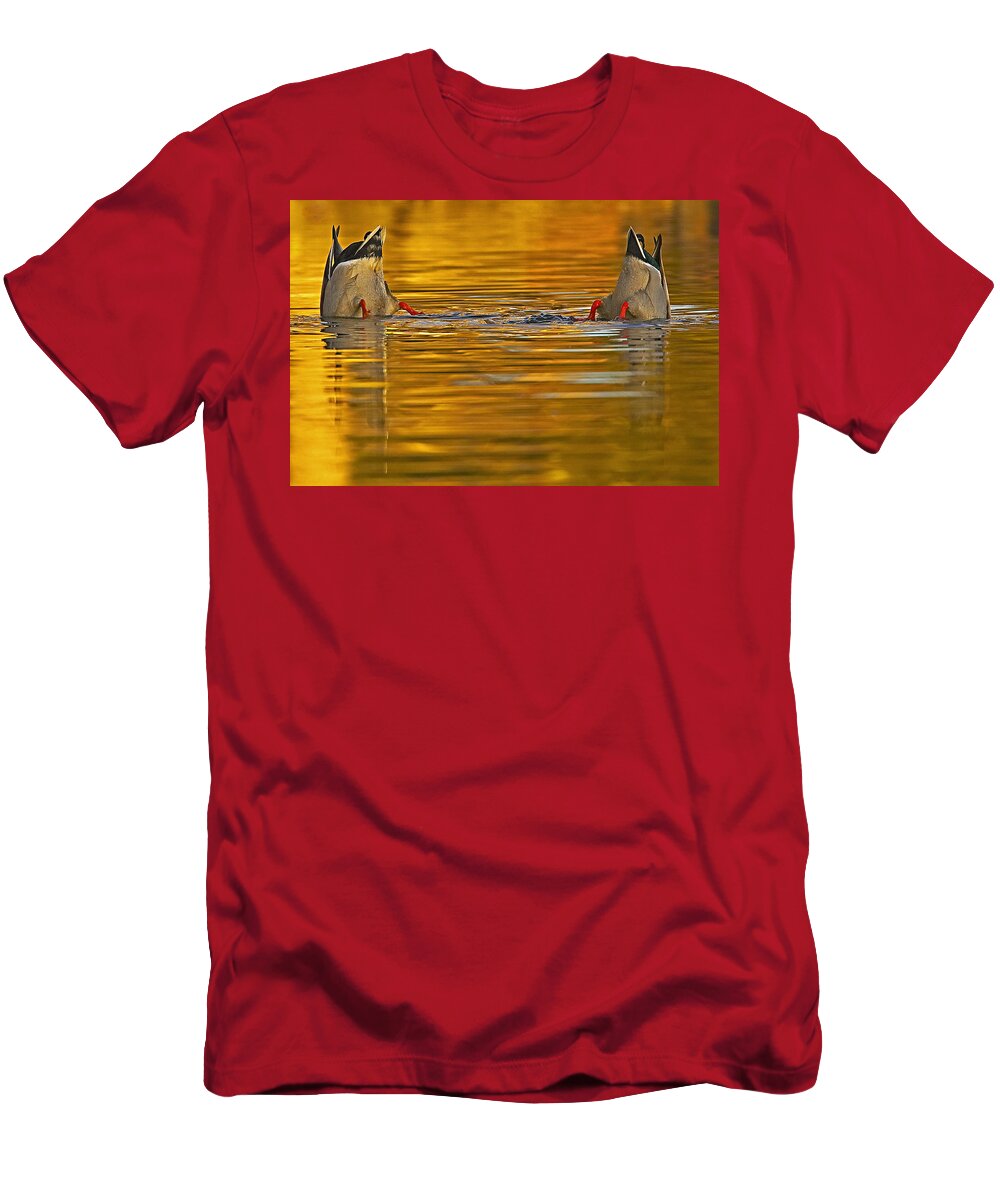 Mallard T-Shirt featuring the photograph Butts by Jack Milchanowski