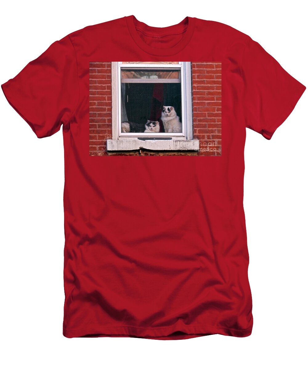 Cats T-Shirt featuring the photograph Cats on a Sill by Randi Shenkman