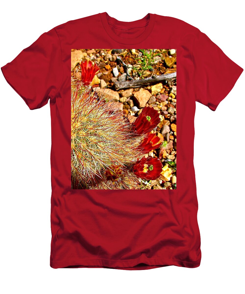 Claret Cup Cactus On Panther Junction Nature Trail In Big Bend National Park T-Shirt featuring the photograph Claret Cup Cactus on Panther Junction Nature Trail in Big Bend National Park-Texas by Ruth Hager