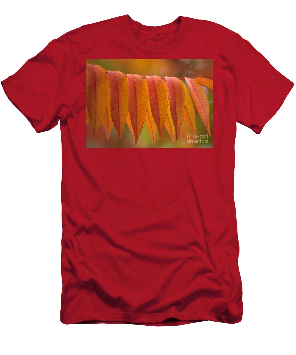 Heiko T-Shirt featuring the photograph Colorful Sumac foliage in fall by Heiko Koehrer-Wagner