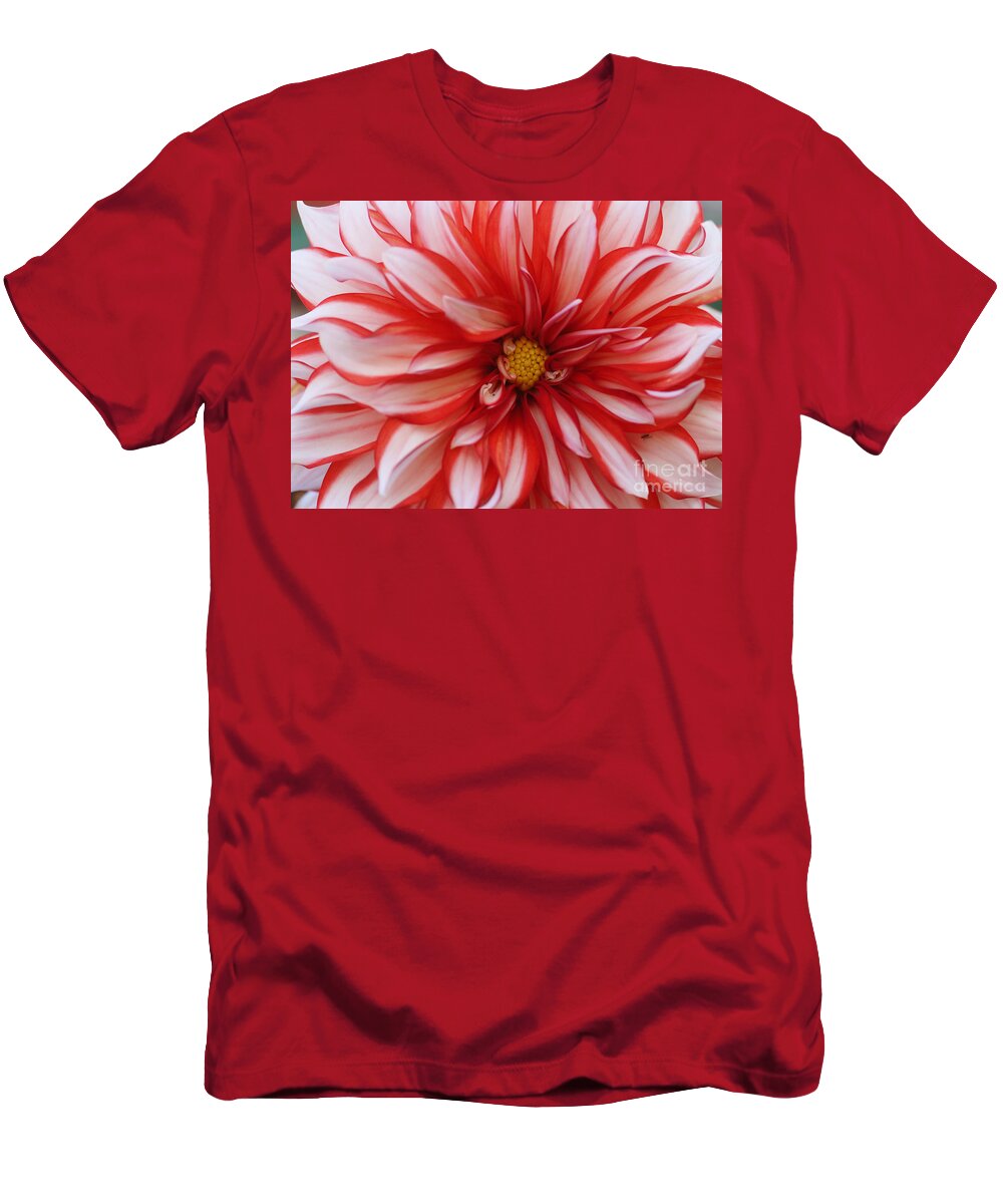 Nature T-Shirt featuring the photograph Dahlia 20 by Rudi Prott