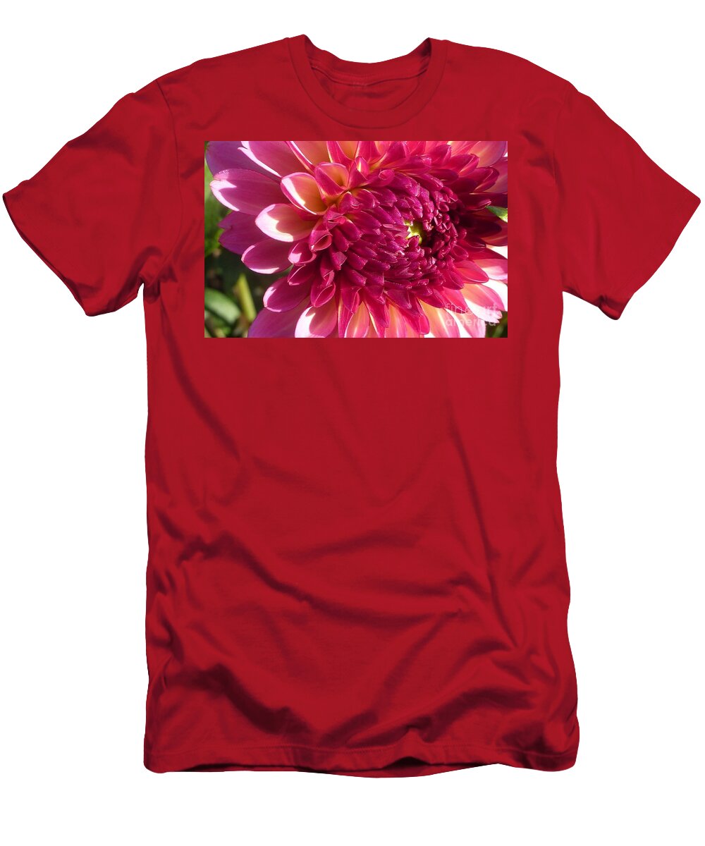 Dahlia T-Shirt featuring the photograph Dahlia Pink 1 by Susan Garren