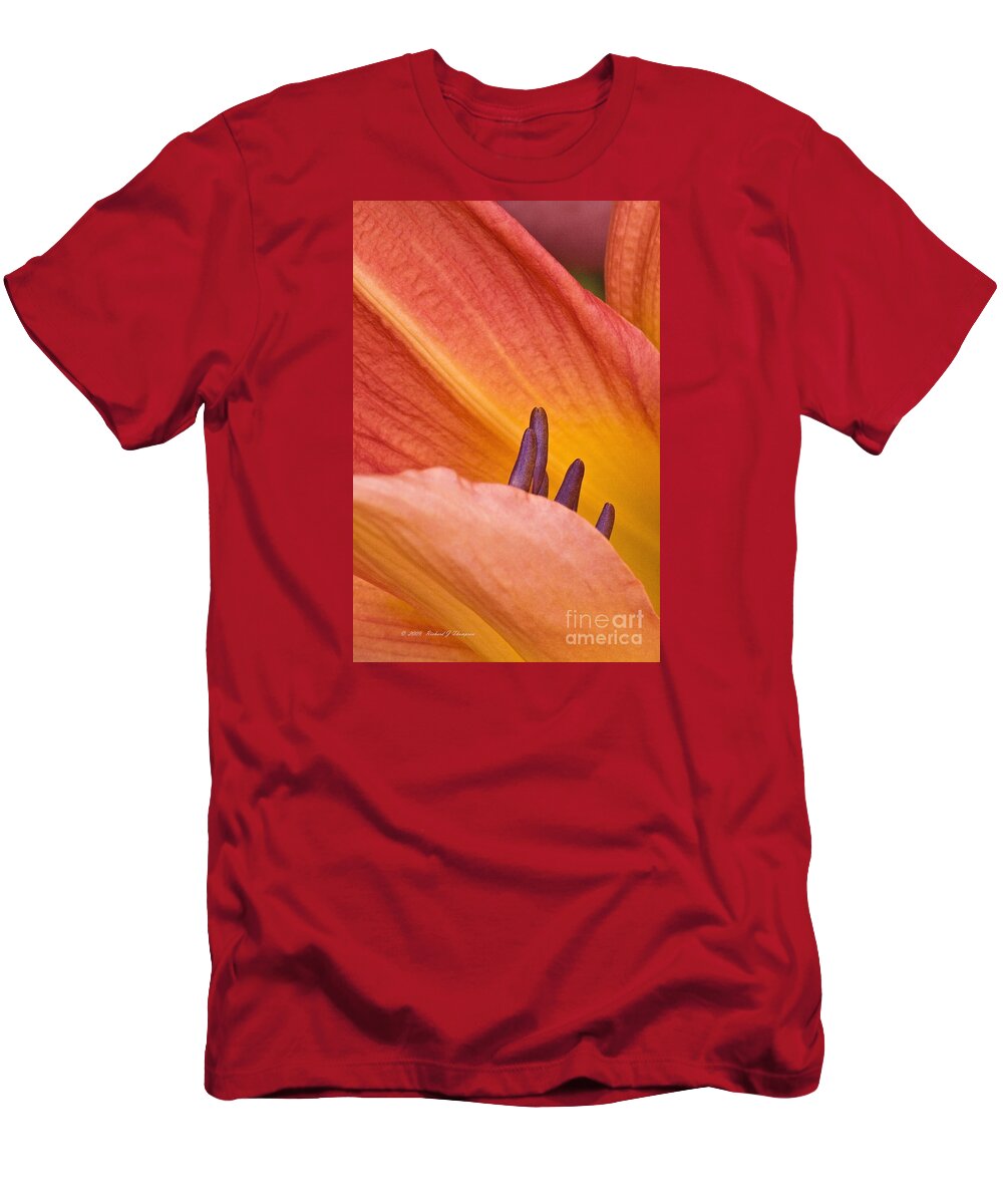 Day Lily T-Shirt featuring the photograph Day Lily 1 by Richard J Thompson 