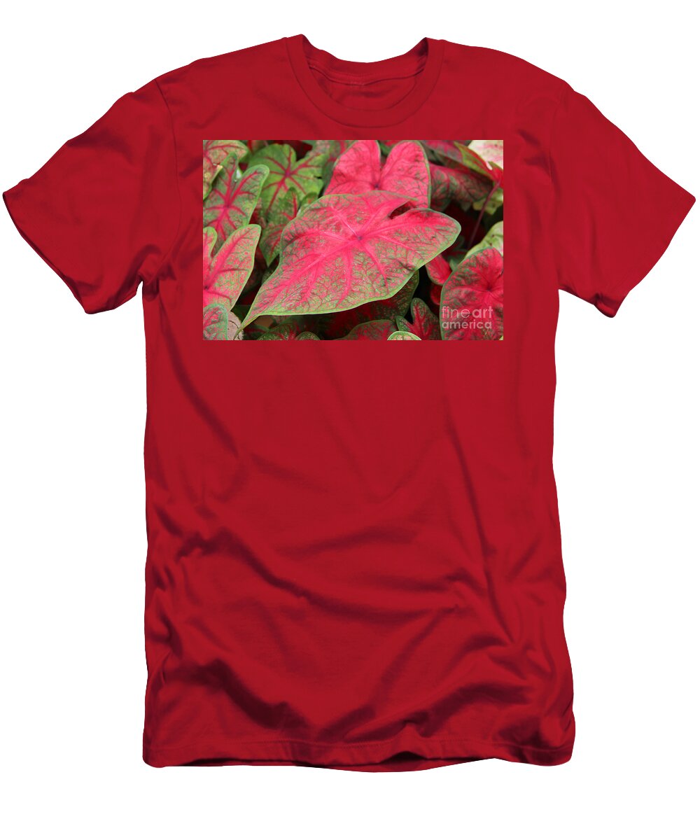 Caladium T-Shirt featuring the photograph En Rouge by Robyn Louisell