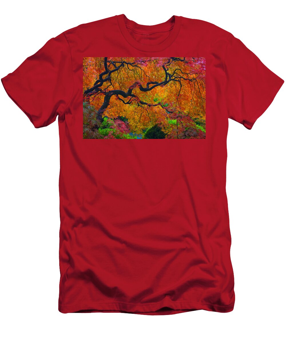 Japanese Maple T-Shirt featuring the photograph Enchanted Canopy by Patricia Babbitt