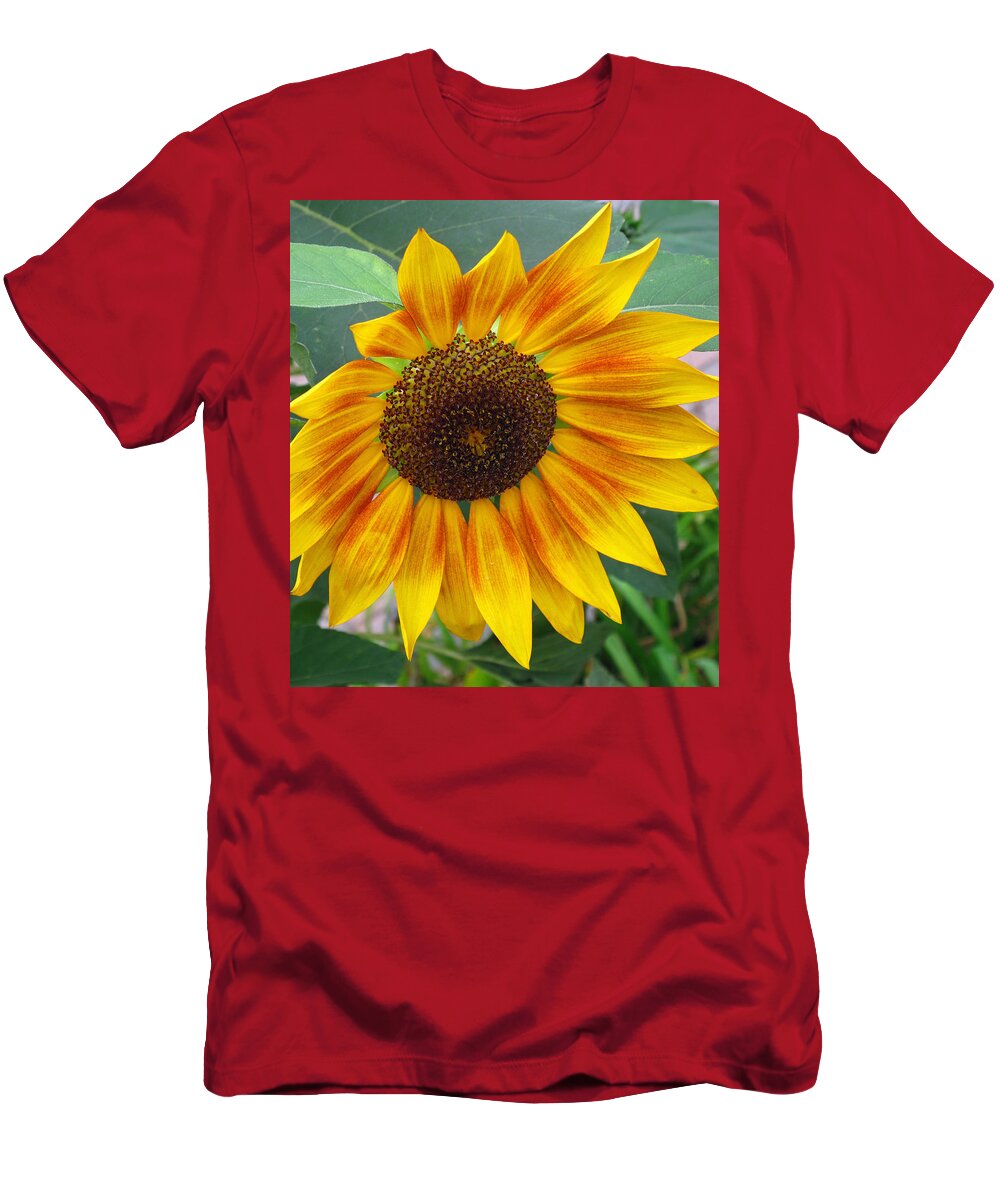 Flower T-Shirt featuring the photograph End of Summer Sunflower by Barbara McDevitt