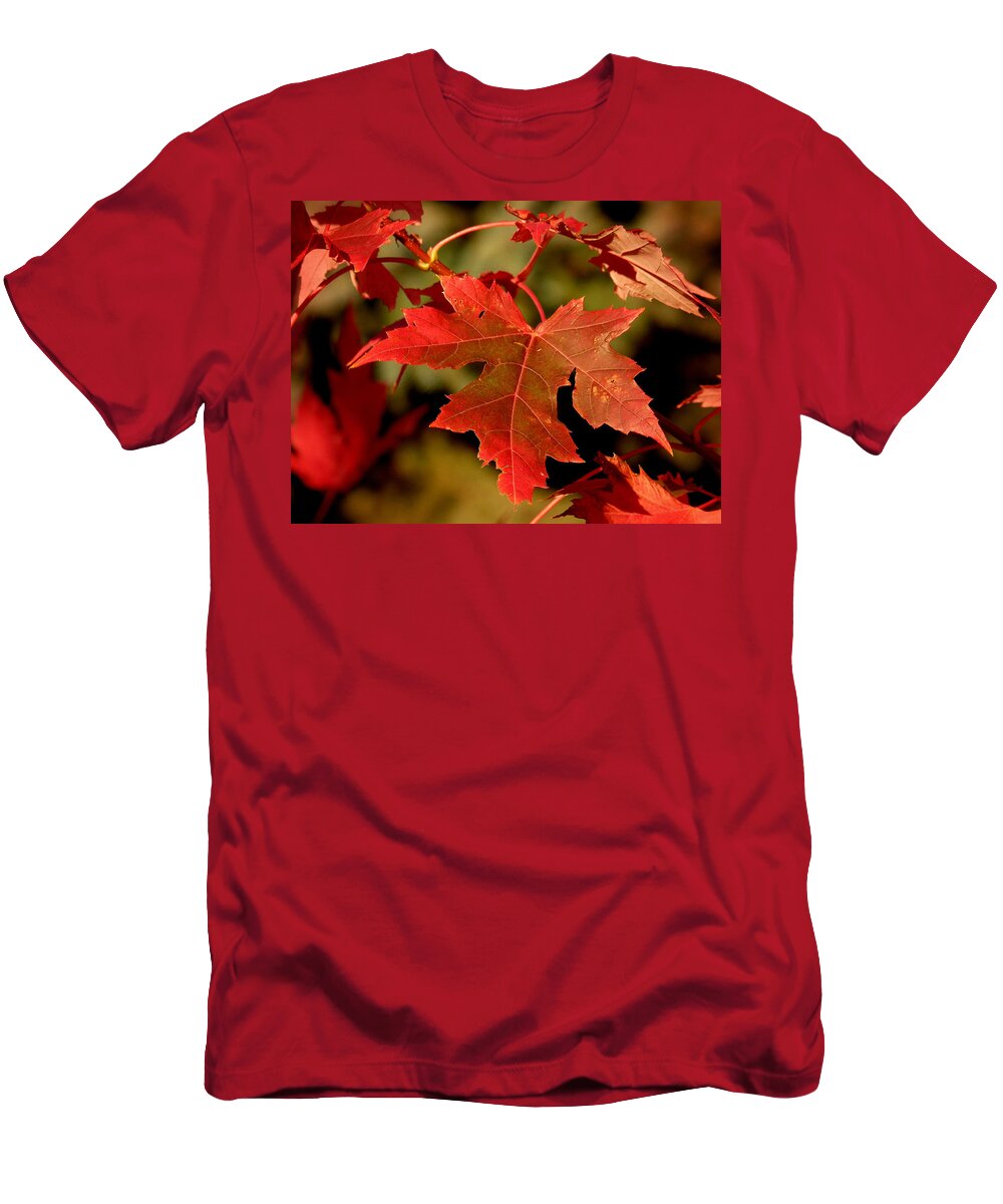 Autumn T-Shirt featuring the photograph Fall Red Beauty by Lucinda Walter