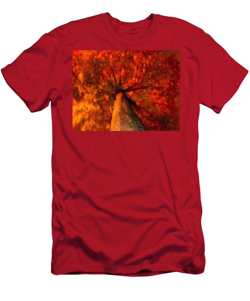 Nature T-Shirt featuring the photograph Fiery Tree by Joseph Hedaya