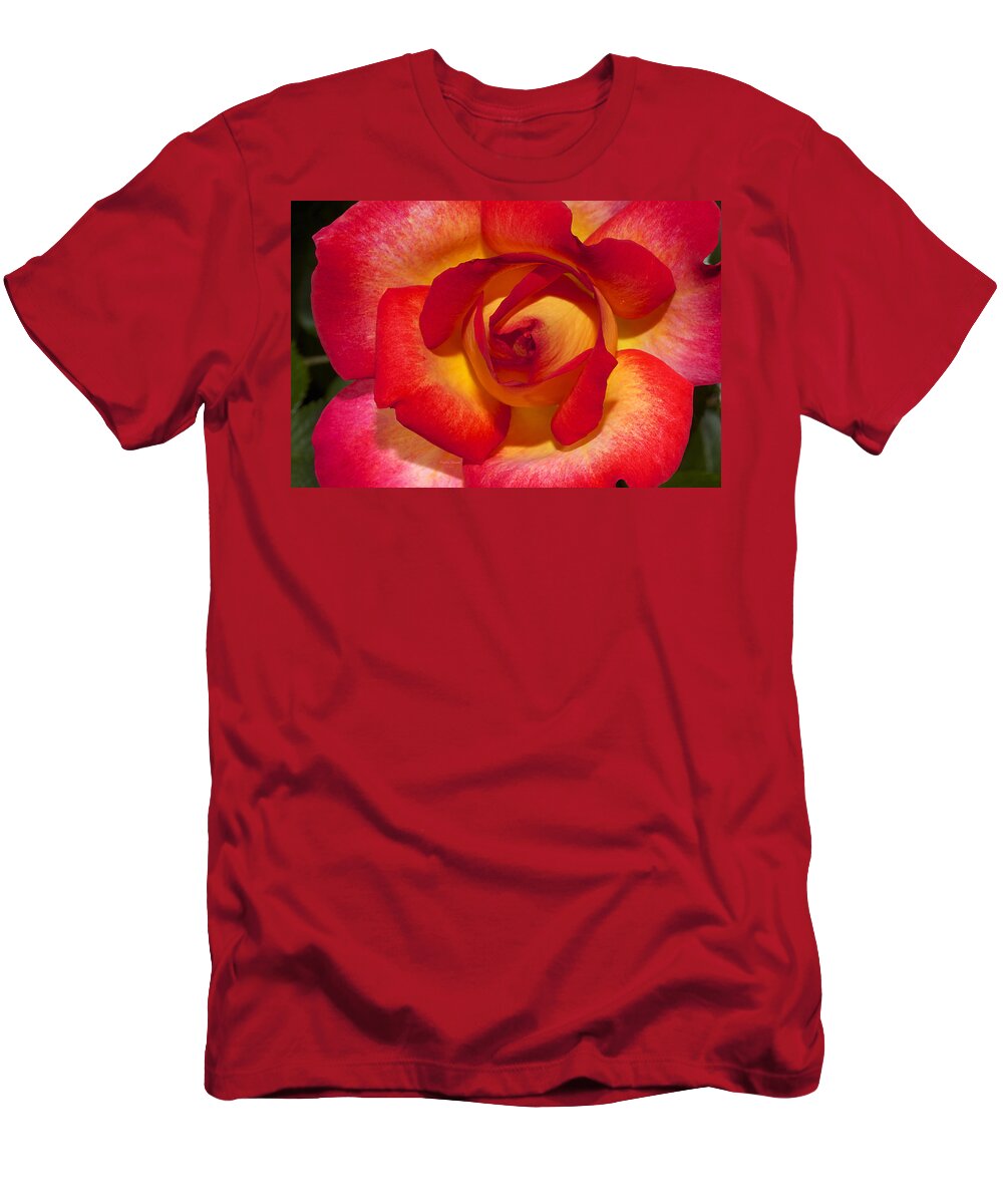 Rose T-Shirt featuring the photograph Flower Power by Phyllis Denton