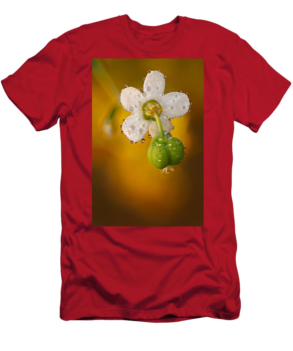 2012 T-Shirt featuring the photograph Flowering Spurge by Robert Charity