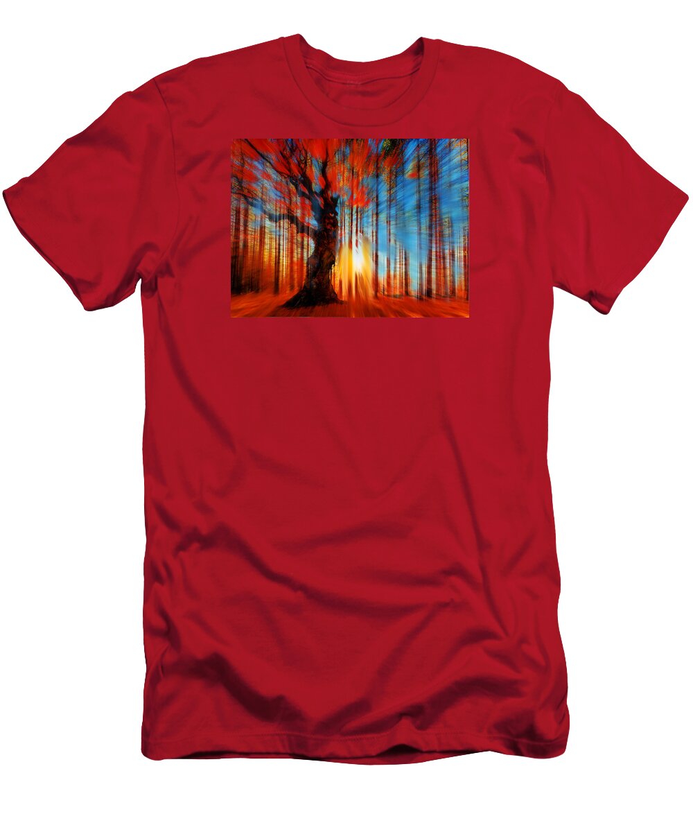 Color T-Shirt featuring the painting Forrest And Light by Tony Rubino