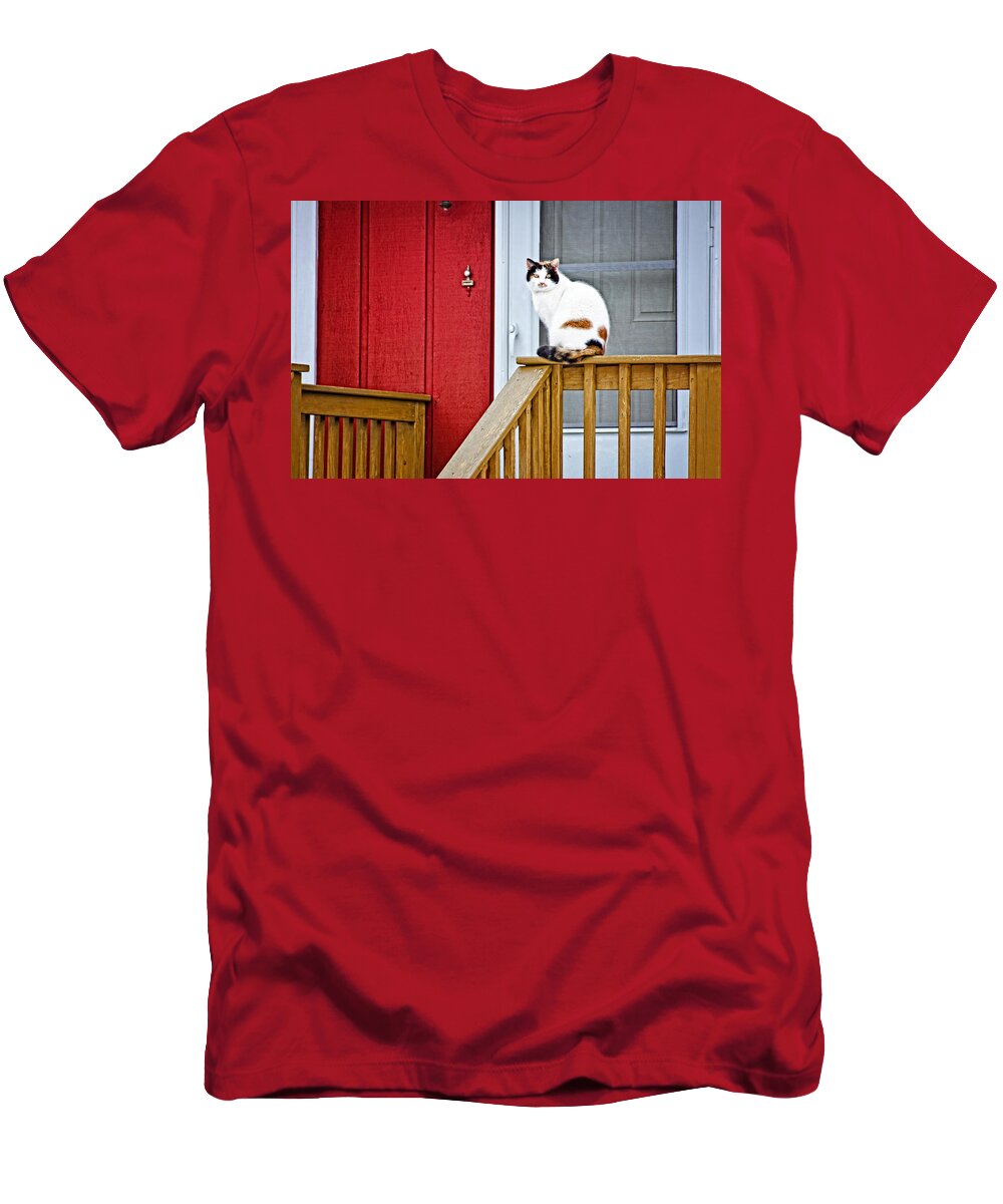 Cat T-Shirt featuring the photograph Front Porch Cat by Donna Doherty