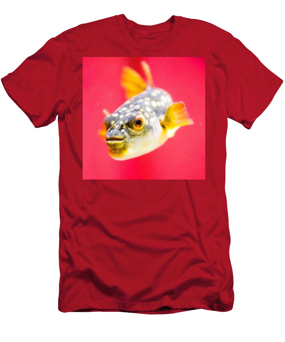 Pufferfish T-Shirt featuring the photograph Funny Fish by Aleck Cartwright