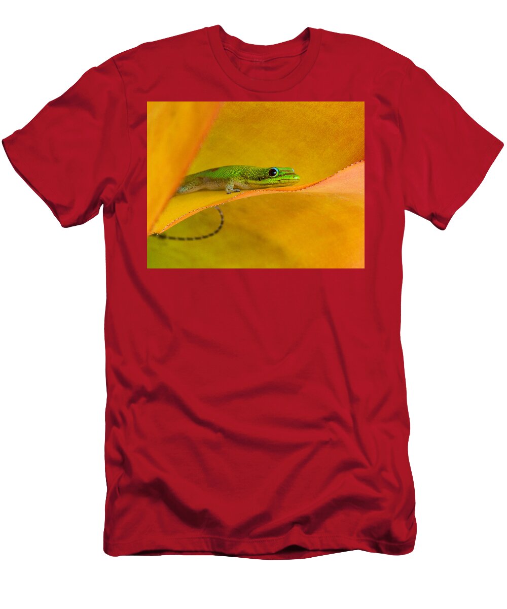 Hamukua Coast T-Shirt featuring the photograph Gecko in the Leaves by Georgette Grossman