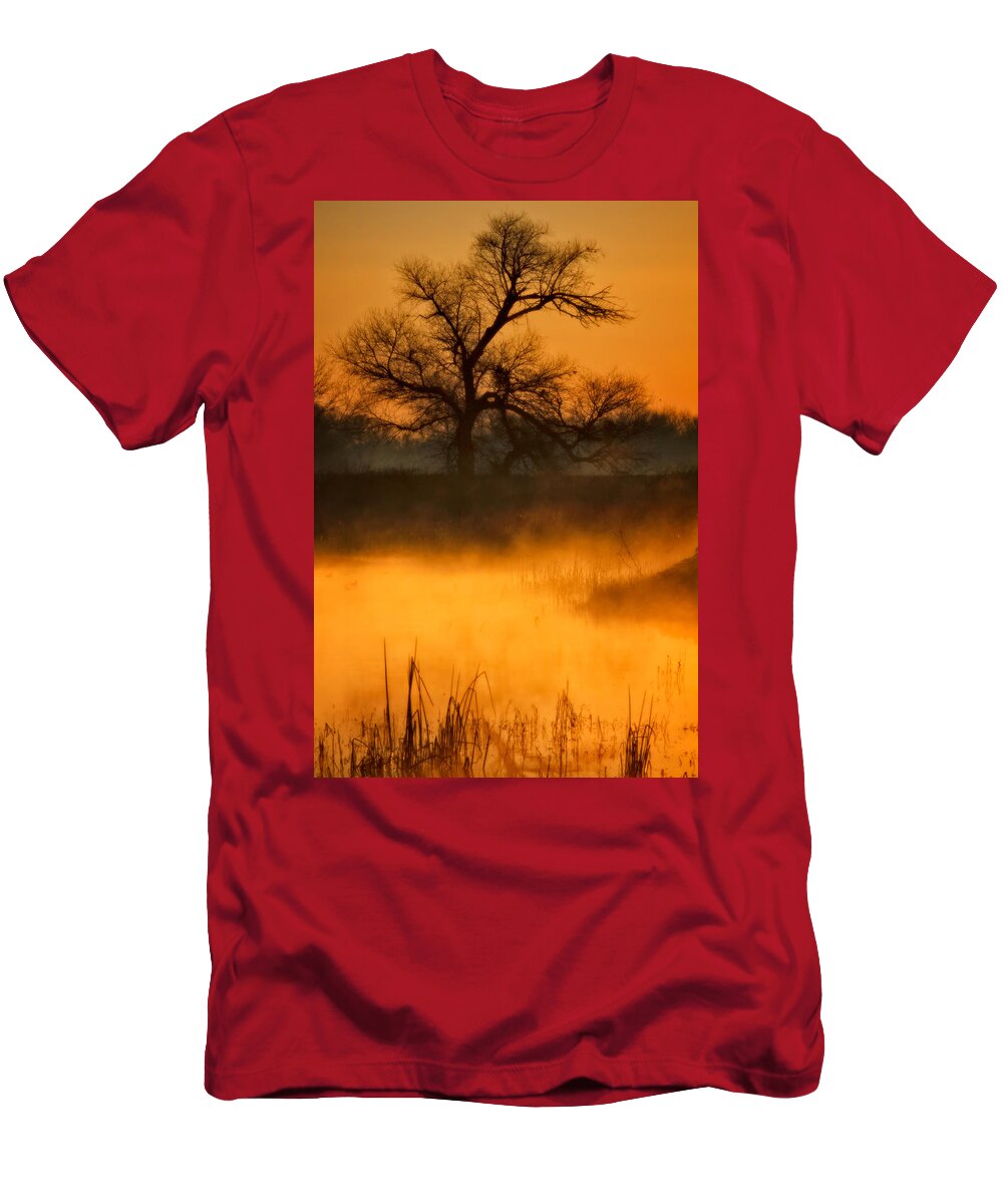San Luis National Wildlife Refuge T-Shirt featuring the photograph Golden Mist by Beth Sargent