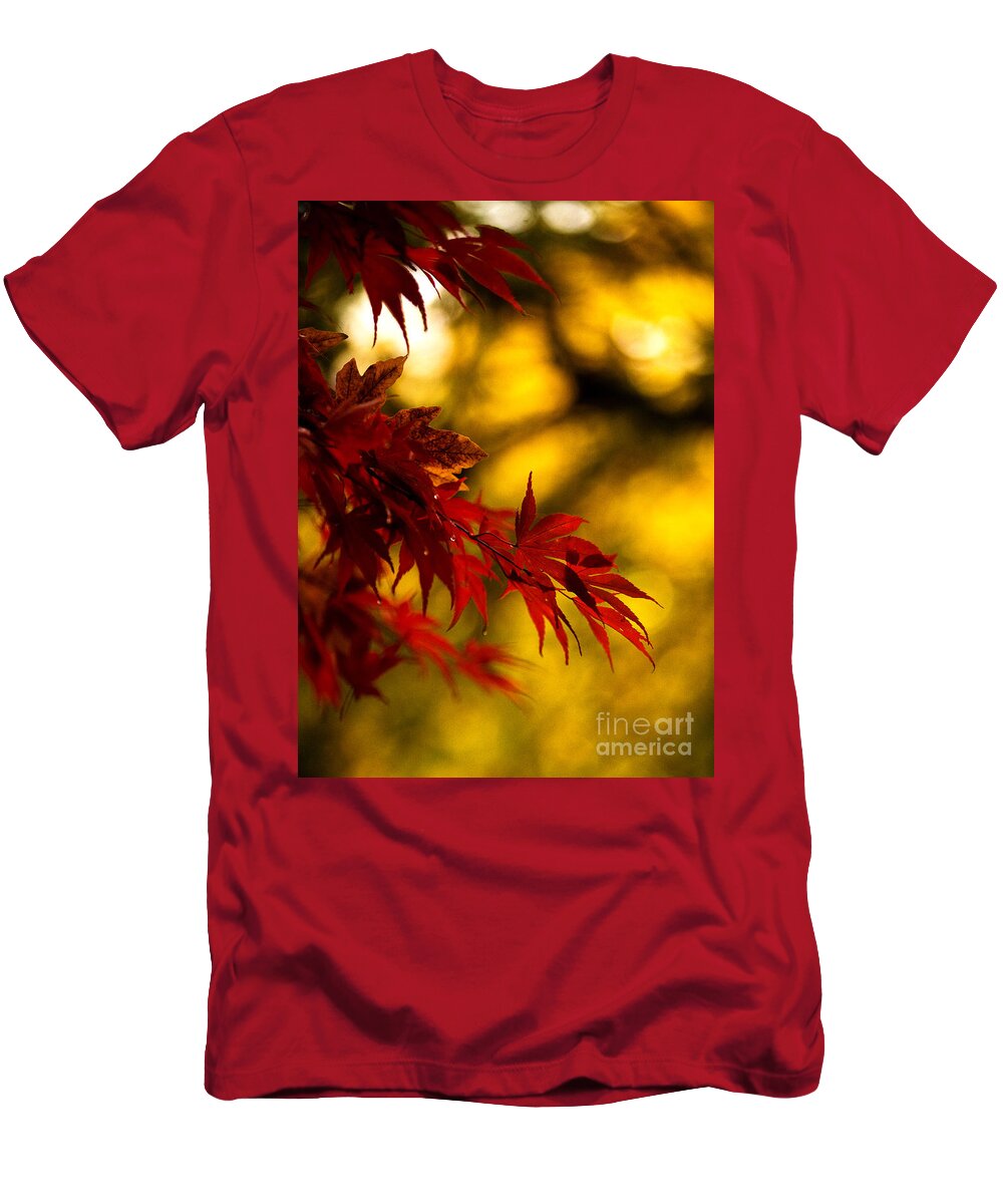 Leaves T-Shirt featuring the photograph Graceful Leaves by Mike Reid