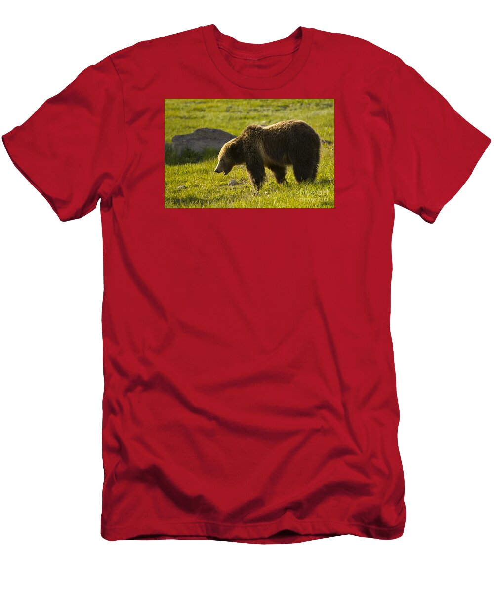 Bear T-Shirt featuring the photograph Grizzly Bear-Signed-#4535 by J L Woody Wooden