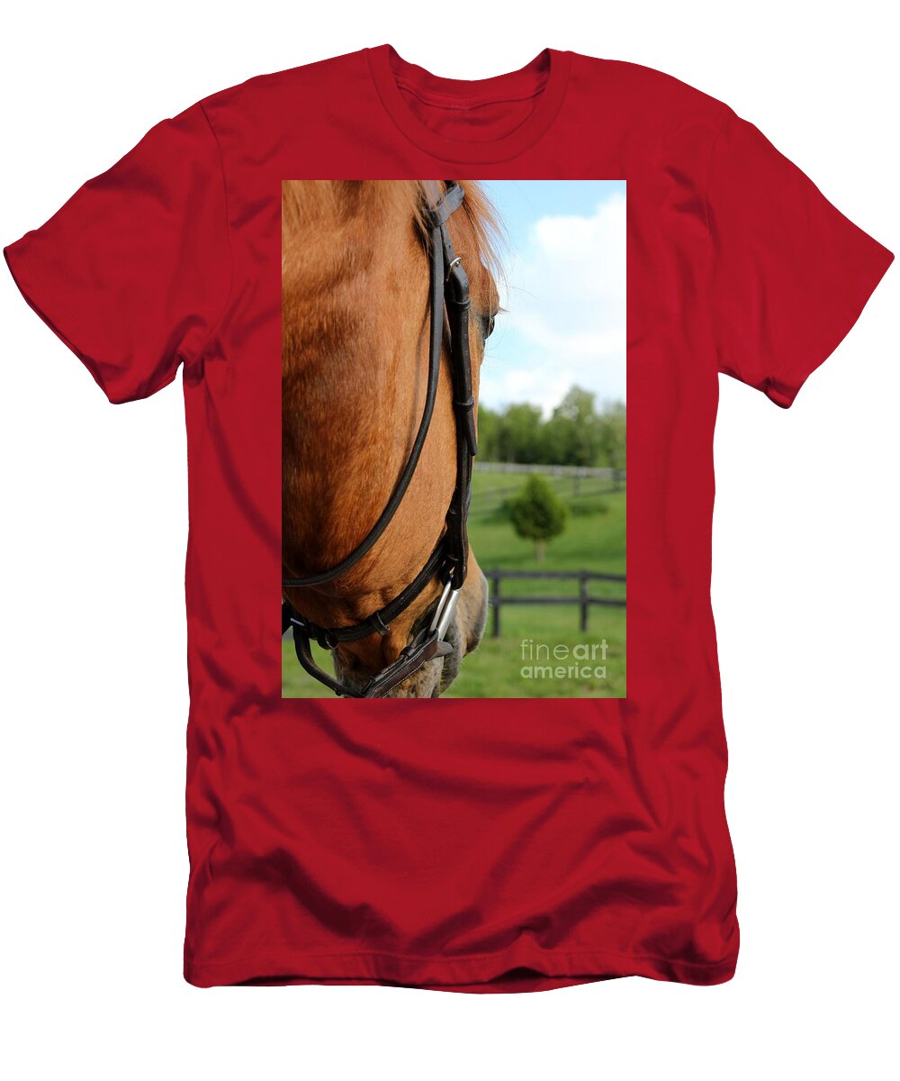 Horse T-Shirt featuring the photograph Horse View by Janice Byer
