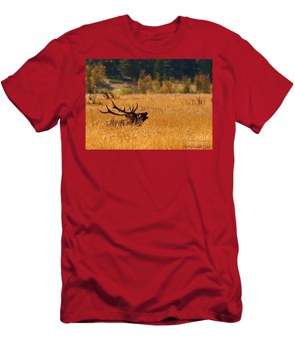 Landscape T-Shirt featuring the photograph I'm Over Here by Steven Reed
