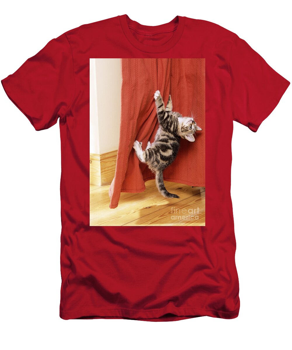 Cat T-Shirt featuring the photograph Kitten Climbing Curtains by John Daniels