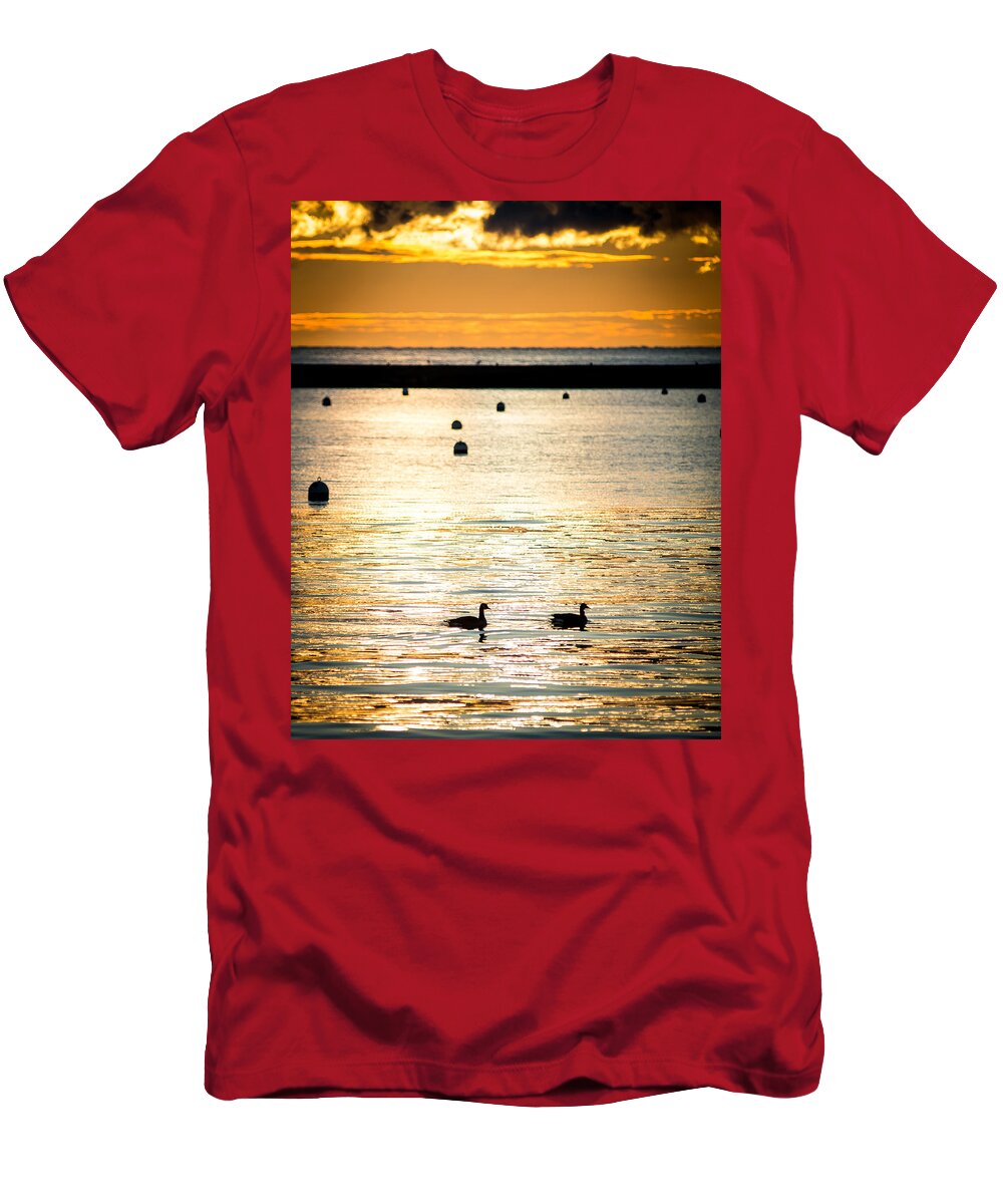 Lake Michigan T-Shirt featuring the photograph Lake Michigan Gold by David Downs