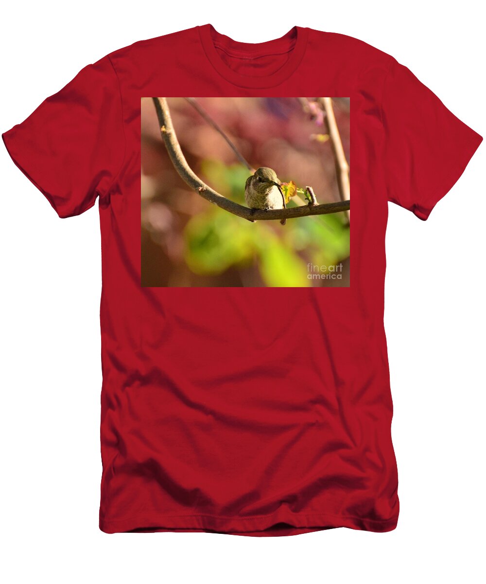 Hummingbird T-Shirt featuring the photograph Leaf Delight by Debby Pueschel
