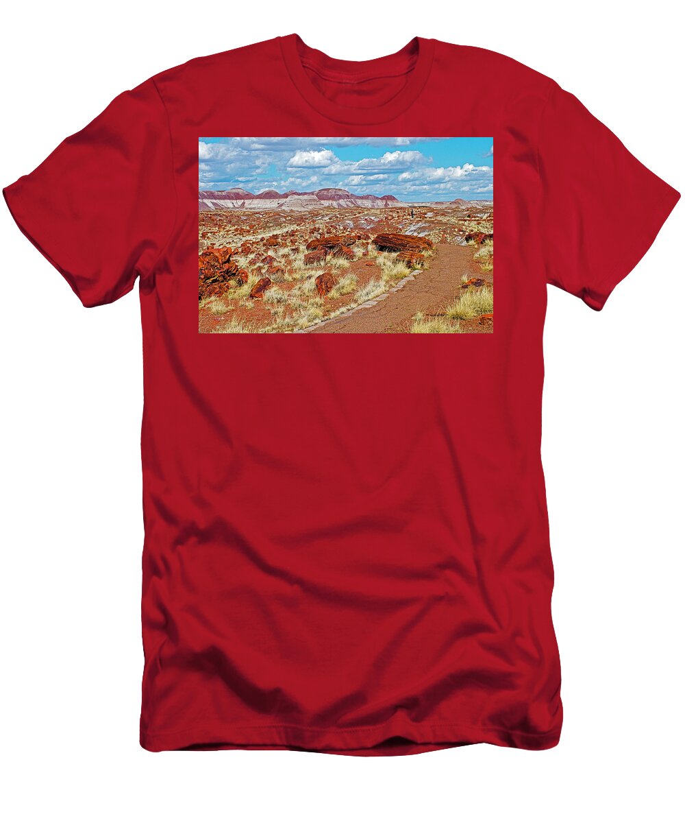 Long Logs Trail In Rainbow Forest In Petrified Forest National Park T-Shirt featuring the photograph Long Logs Trail in Rainbow Forest in Petrified Forest National Park-Arizona by Ruth Hager