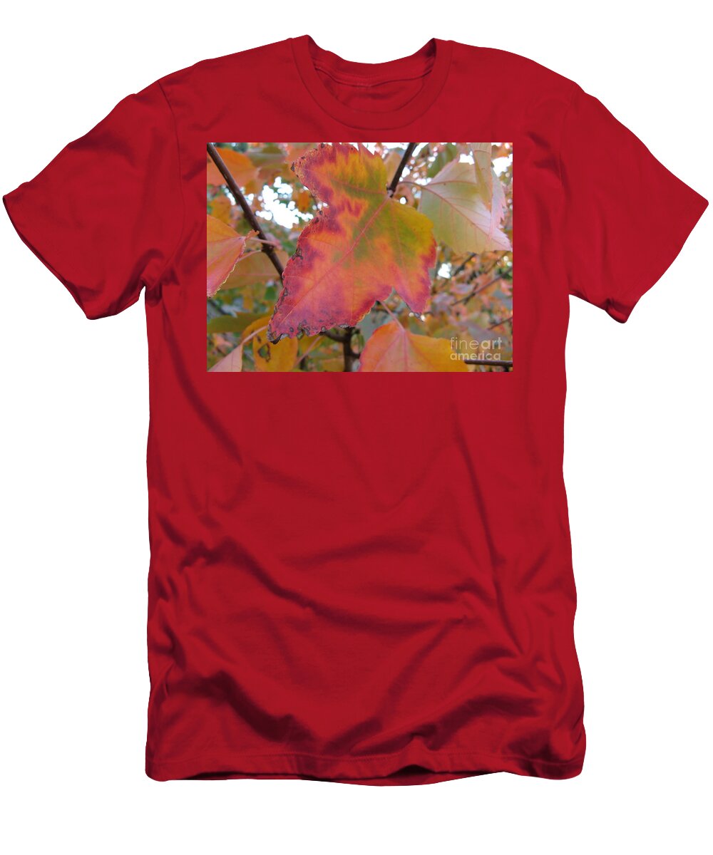 Maple Leaf T-Shirt featuring the photograph Maple Leaf Autumn by Mars Besso