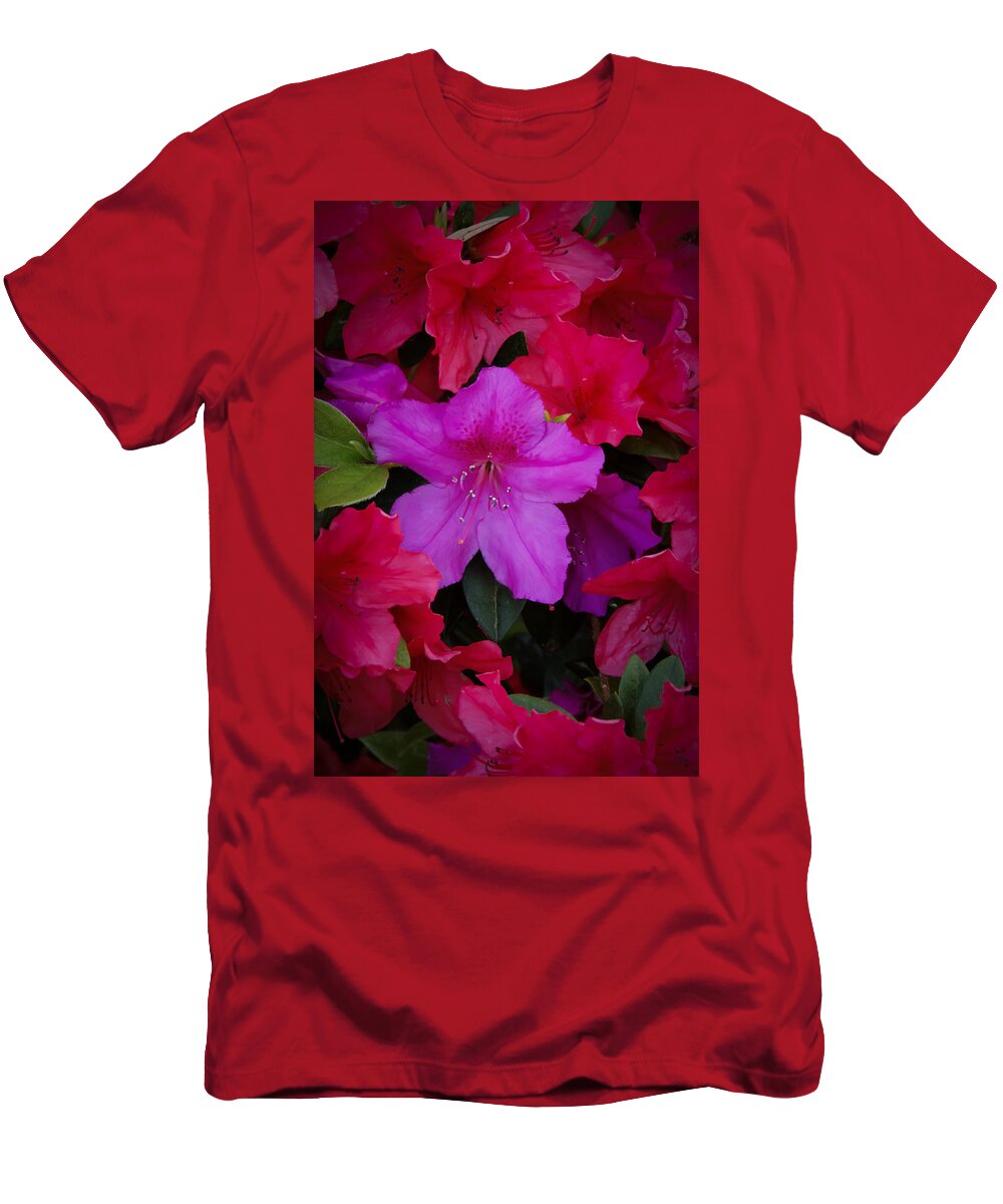 Azaleas T-Shirt featuring the photograph Merging Azaleas 2 by Penny Lisowski