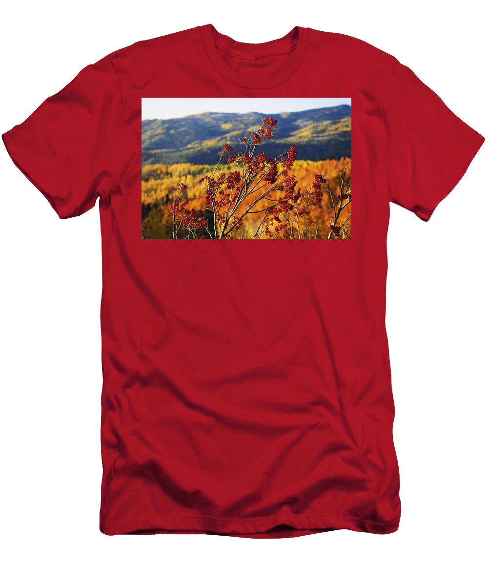 Sorbus Scopulina T-Shirt featuring the photograph Mountain Ash Berries, Colorado Landscape by James Steinberg