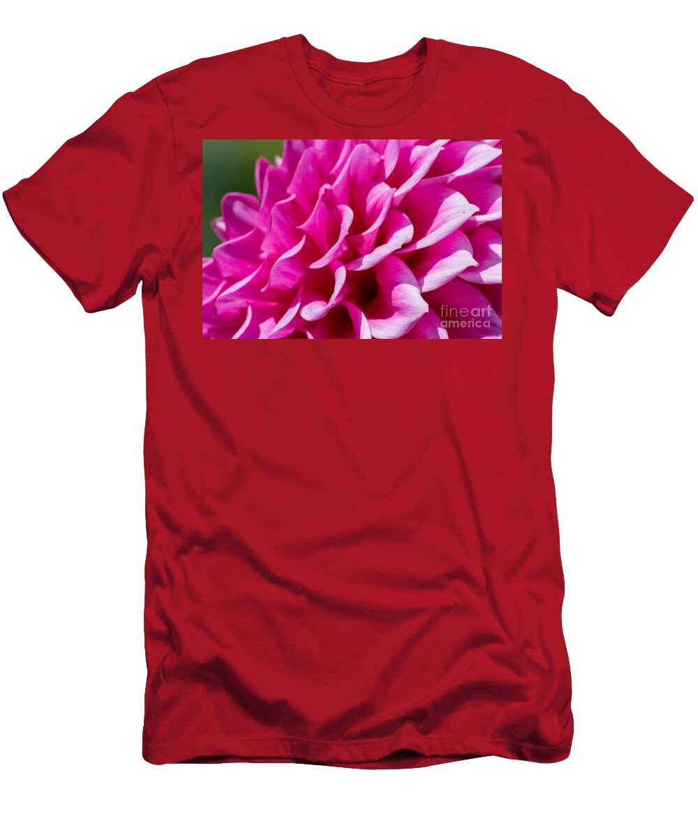 Dahlia T-Shirt featuring the photograph My Dahlia by Tikvah's Hope