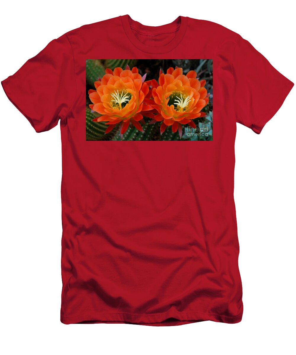 Orange T-Shirt featuring the photograph Orange Cactus Flowers by Nancy Mueller