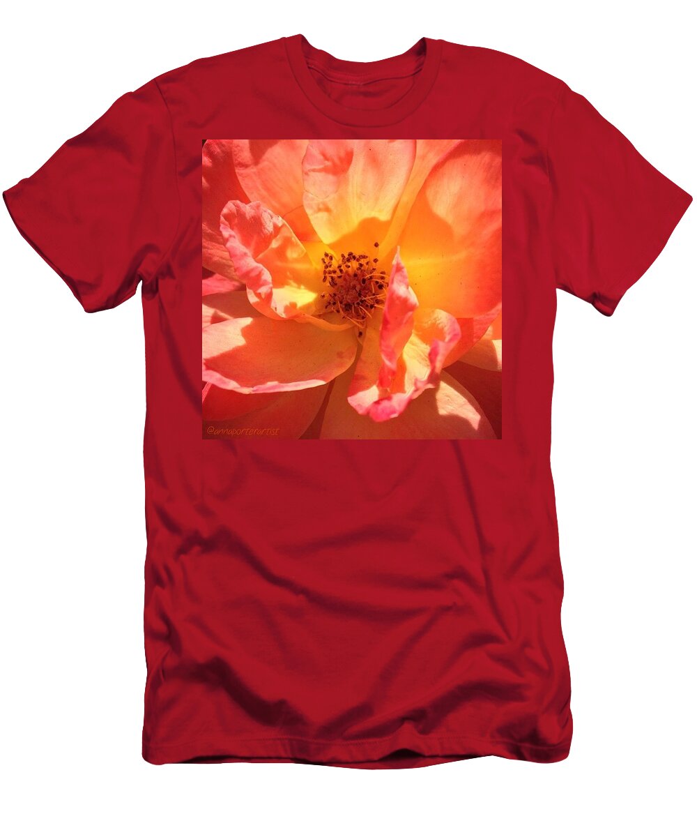 Orange Confection Rose T-Shirt featuring the photograph Orange Confection Rose by Anna Porter
