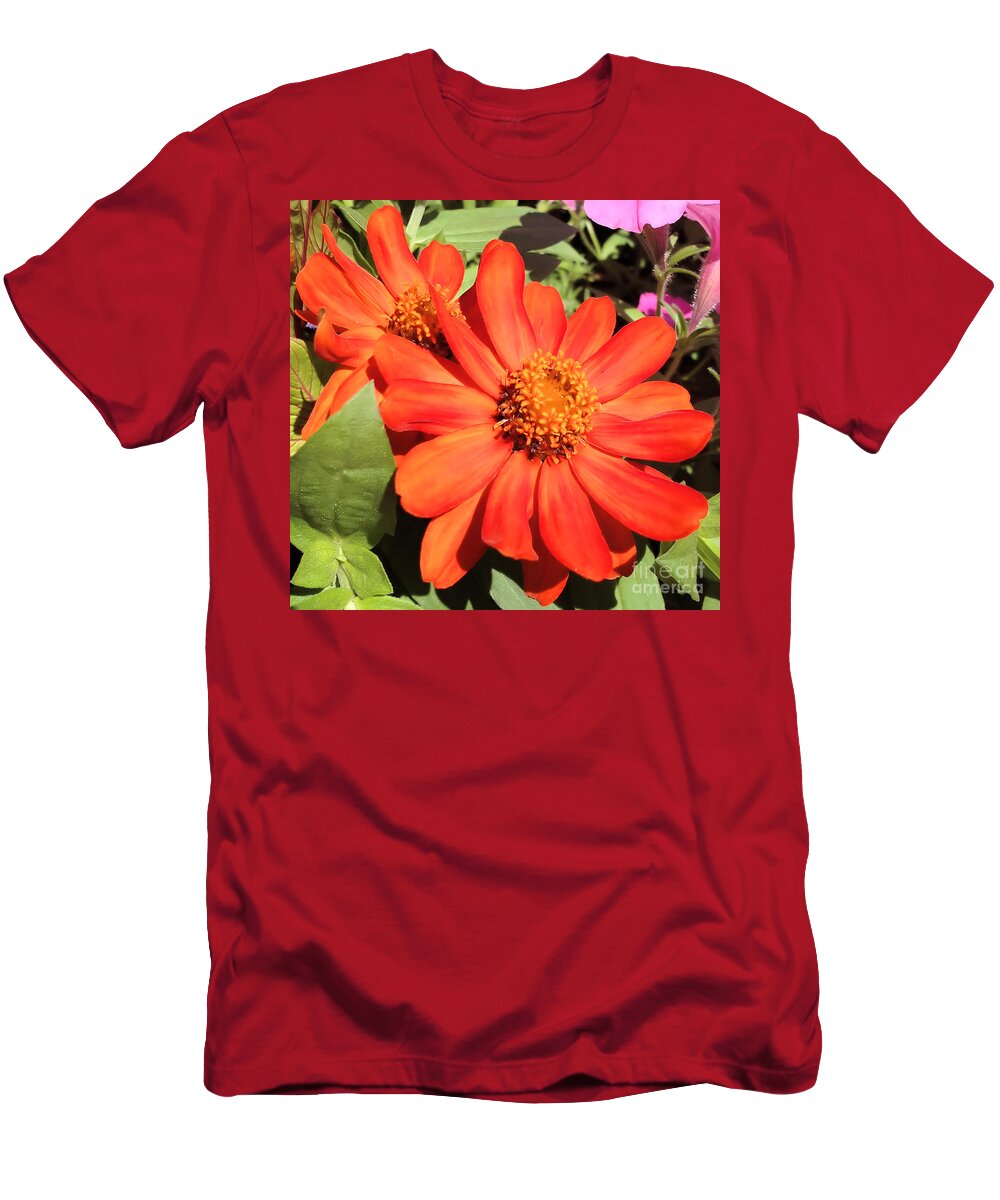 Orange T-Shirt featuring the photograph Orange Daisy in Summer by Luther Fine Art