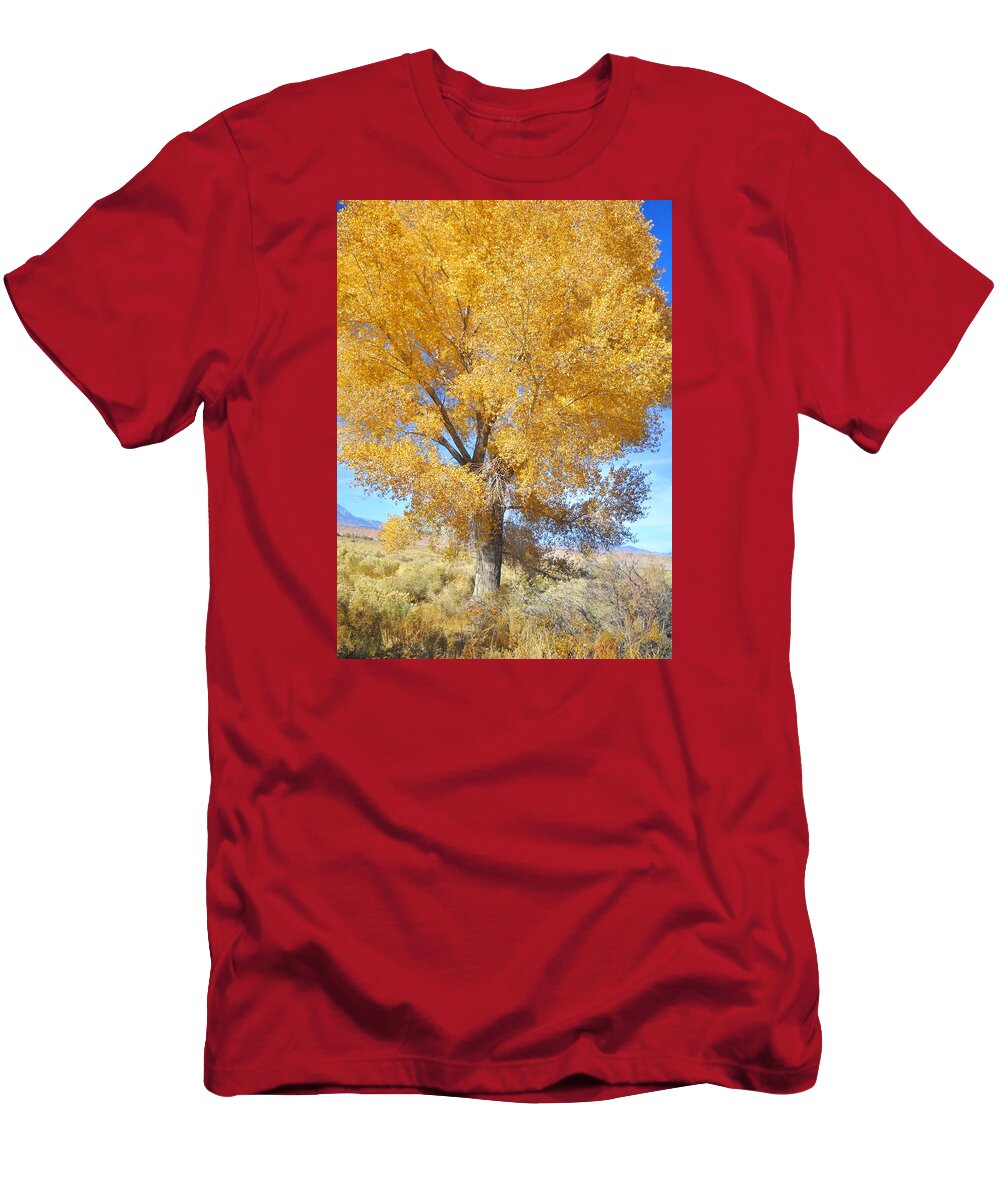 Fall T-Shirt featuring the photograph Orange Serenade by Marilyn Diaz