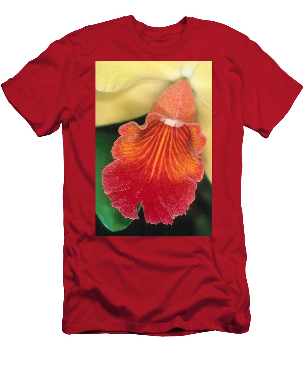 Flower T-Shirt featuring the photograph Orchid 16 by Andy Shomock