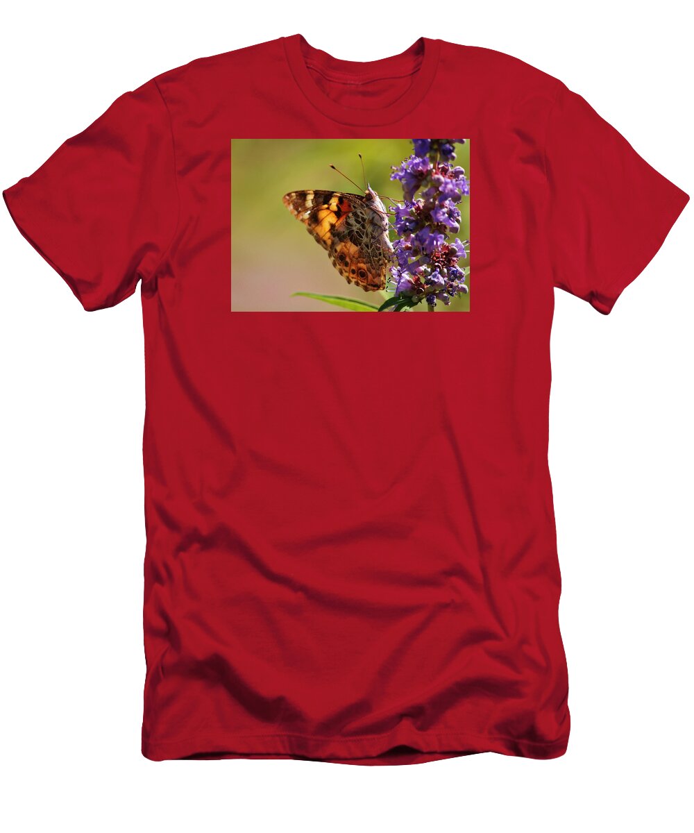 Butterfly T-Shirt featuring the photograph Painted Lady by Marcia Breznay