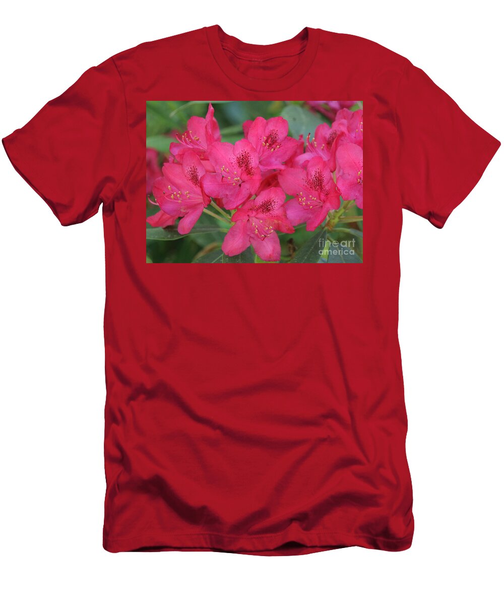 Garden T-Shirt featuring the photograph Pink Azalea by Amanda Mohler