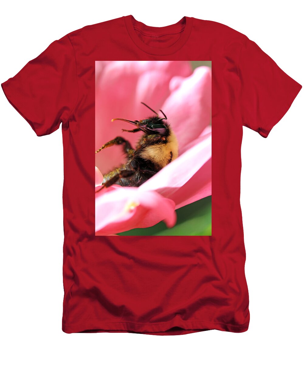 Insects T-Shirt featuring the photograph 'Pollen High' by Jennifer Robin