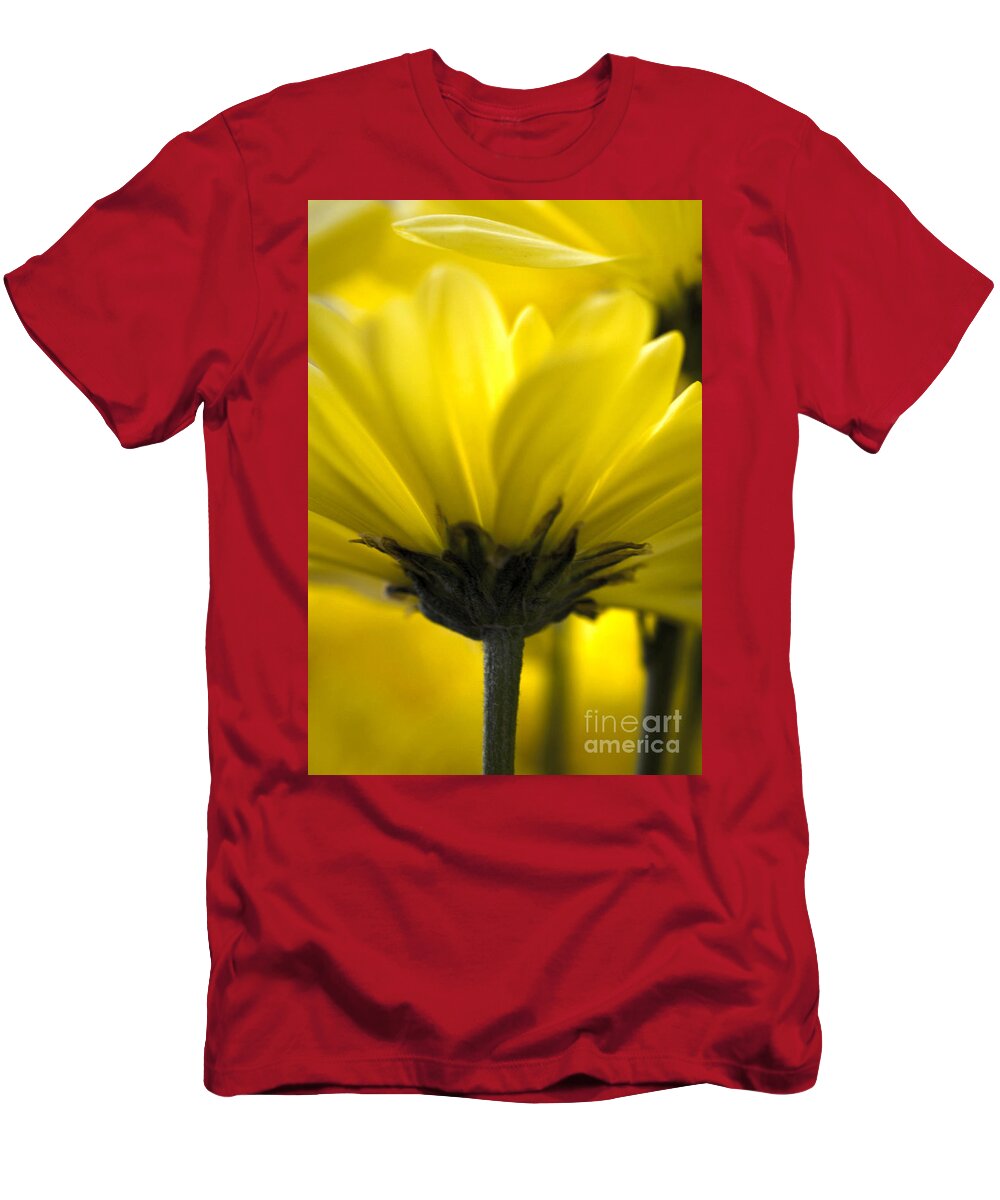 Yellow Daisy T-Shirt featuring the photograph Radiant Yellow by Deb Halloran